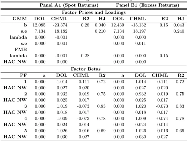 Table 12: Asset Pricing Exercise: Currency Factors
