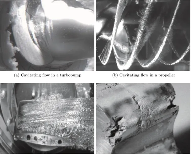 Figure 1.1: Examples of cavitation effects in hydraulic machinery. Adopted from [33]