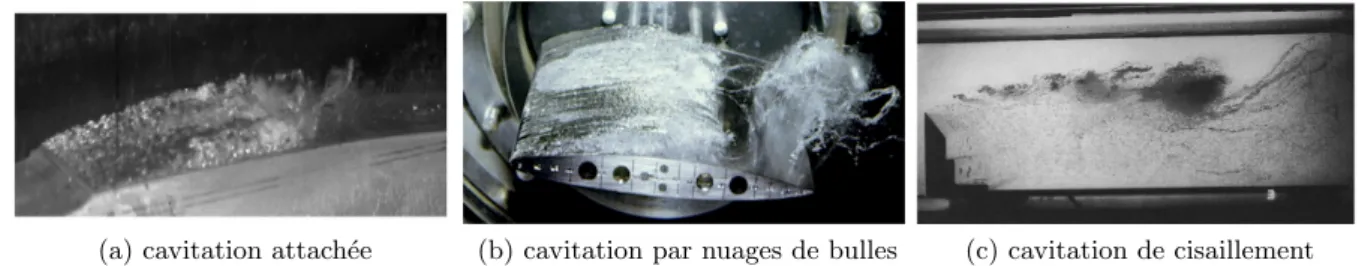 Figure 1.5: Les diff´erents mod`eles de cavitation. Extrait de [6, 17, 110]