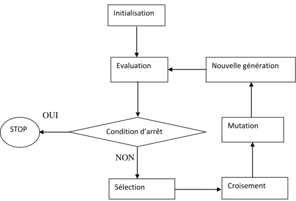Figure 1.5. Architecture générale d’un algorithme génétique    Types de codage du chromosome  