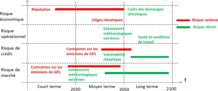 Figure 2.2 : Risque carbone et risque climat en fonction du temps.  