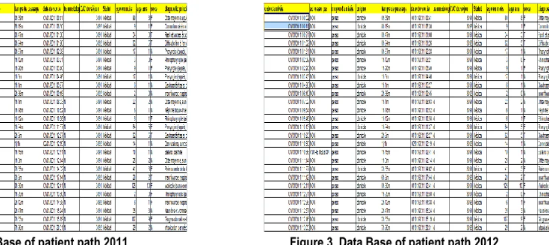 Figure 2    Data Base of patient path 2011  Figure 3  Data Base of patient path 2012 