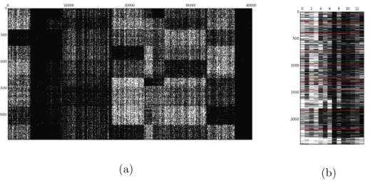 Figure 1: Co-clustering de la matrice de données. 1a représente la matrice Documents- Documents-Termes et 1b représente la matrice de notes attribuées par les spectateurs.