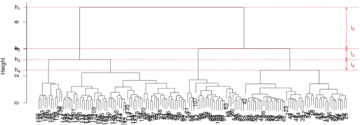 Figure 1: Dendrogramme obtenu apr` es CAH sur les donn´ ees iris. l 2 , l 3 , l 4 repr´ esentent