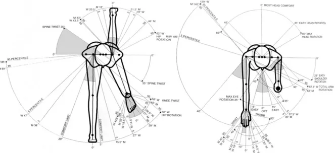 Figure 1.6 – Les zones de confort pour les mouvements articulaires sont représentées en grisé