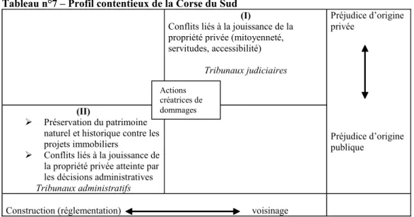 Tableau n°7 – Profil contentieux de la Corse du Sud 