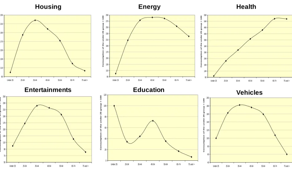 Figure 3. Relationship between age and consumption by expenditure items in the US   90110130150170190210230 Under 25 25-34 35-44 45-54 55-64 65-74 75 and +Consumption of the under 25 group = 100 90110130150170190210230250270290 Under 25 25-34 35-44 45-54 5