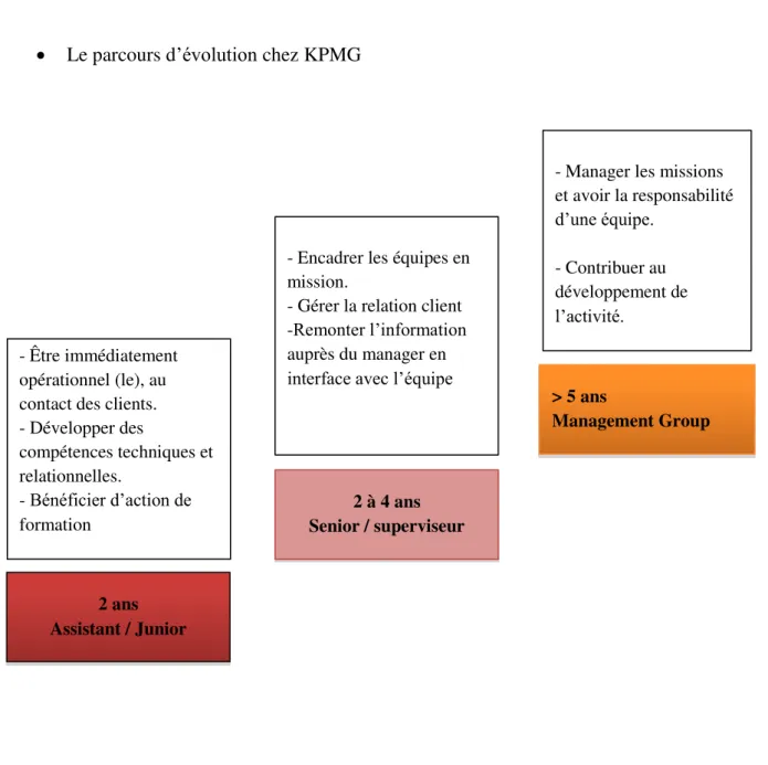 Figure 6 : Le parcours de progression chez KPMG 