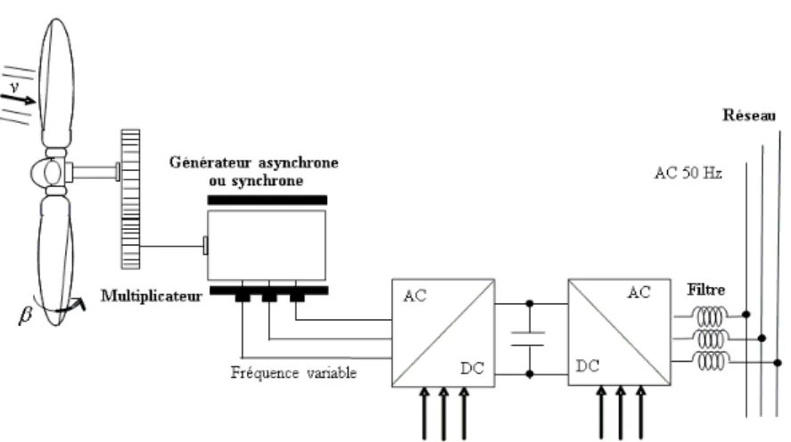 Figure 1.7 – Topologie de g´en´eratrice ´eolienne ` a vitesse variable avec Machine Synchrone (MA) ou Asynchrone (MAS) et multiplicateur [COUR-08]