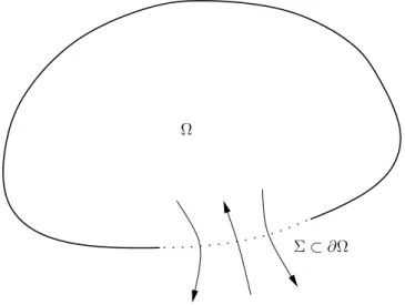 Figure 2.1: The setting of the boundary control problem