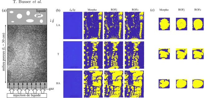 Figure 1. (a) Schéma du dispositif expérimental avec une image brute. (b) Exemple d’analyse d’images pour les trois régimes observés (LA = faible activité, T = transition, HA = forte activité) pour les trois méthodes