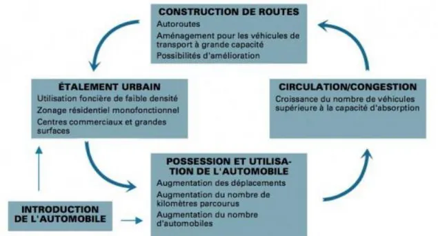 Figure I.10. Cercle vicieux du déclin urbain ou cercle vicieux de la dépendance à  l’automobile 