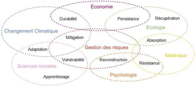 Figure 1-9. Le caractère interdisciplinaire de la résilience 