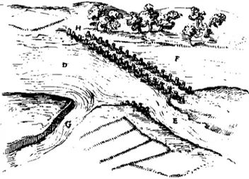 Illustration of a &#34; Forest Weir &#34; from the Turriano Codex, saec. XVI, u 