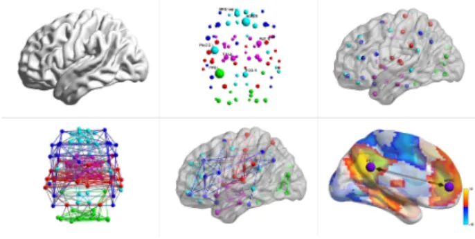 Figure 2: Le fonctionnement du cerveau représenté par des dia- dia-grammes nœuds-liens entre régions
