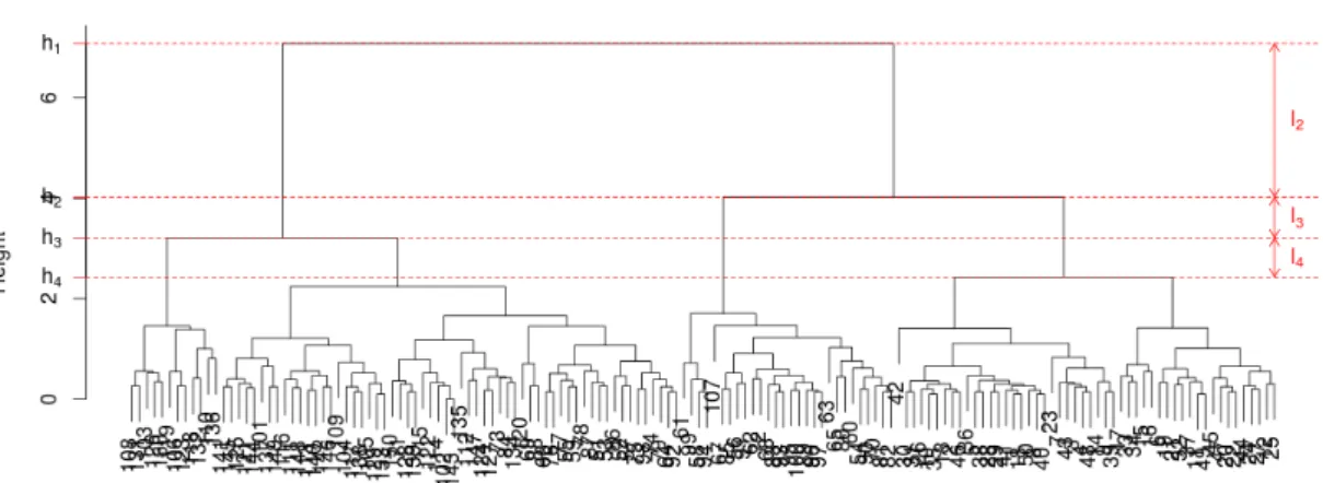 Figure 1 – Dendrogramme obtenu après CAH sur les données iris. l 2 , l 3 , l 4 représentent les longueurs
