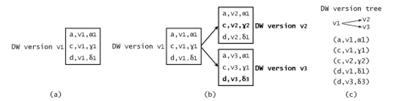 Fig. 1.2 (a) Initial DW version v 1 . (b) DW versions v 2 and v 3 are derived from v 1 