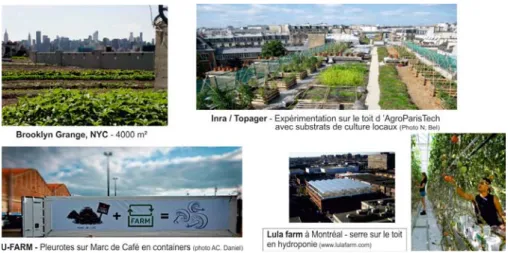 Figure 2. Diverses formes techniques de l’agriculture sur le bâti en pays du Nord 