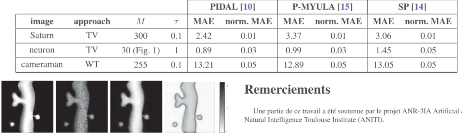 TABLE 1 – Critères de performance avec les approches implémentées : PIDAL, P-MYULA et SP