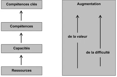 Figure 6. La hiérarchie des compétences, d’après Javidan (1998) 