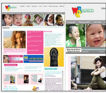 Figure I.1. Le cas de webtretho.com 