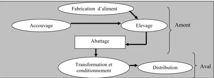 Figure 1 : Schématisation de la filière avicole. 