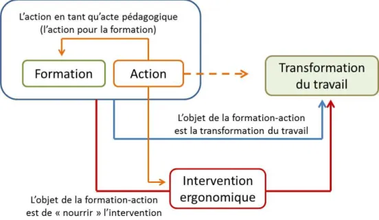 Figure 1 : Les liens entre formation-action et intervention ergonomique. 