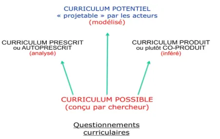 Fig 3 : questionnements curriculaires 