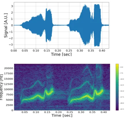 Figure 3: Encodage de l’information temps-fréquence du chant (“cui-cui") d’un oiseau par un spectrogramme : (haut) amplitude du signal enregistré au cours du temps ; (bas) spectrogramme du signal : densité d’énergie par unité de temps et de fréquence.