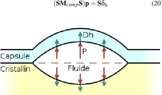 Figure 5: Fluide compris entre deux membranes élastiques.