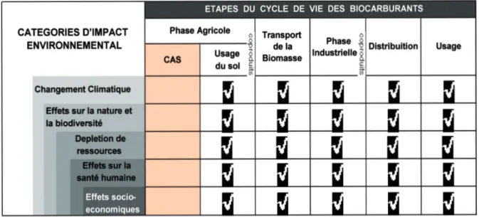 Figure 1 : La classiﬁcation du changement d’aﬀectation des sols (CAS) dans la perspective du cycle de vie des biocarburants et ses eﬀets possibles, directs et indirects, sur l’environnement Elaboration de l’auteur, basé sur Gray &amp; Bebbington (2001); Re