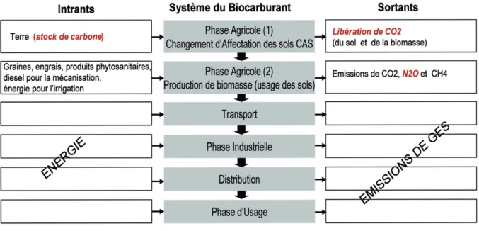 Figure 2 : Facteurs d’incertitude dans l’analyse de cycle de vie ACV concernant le calcul du bilan de gaz à eﬀet de serre d’un biocarburant  