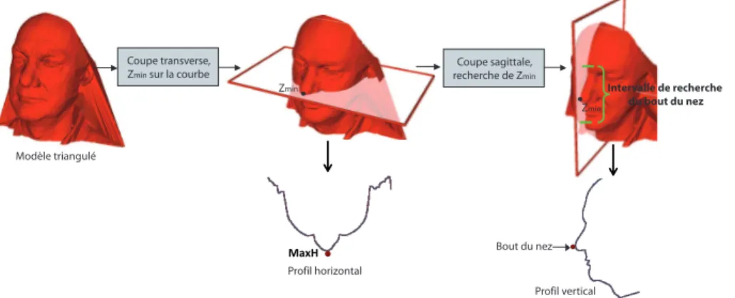 Figure 5. Procédure de localisation du bout du nez.