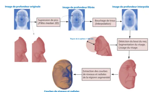 Figure 3. Les étapes nécessaires pour le pré-traitement des visages 3D.
