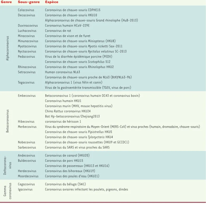 Tableau I.  Les différents coronavirus (liste non exhaustive).