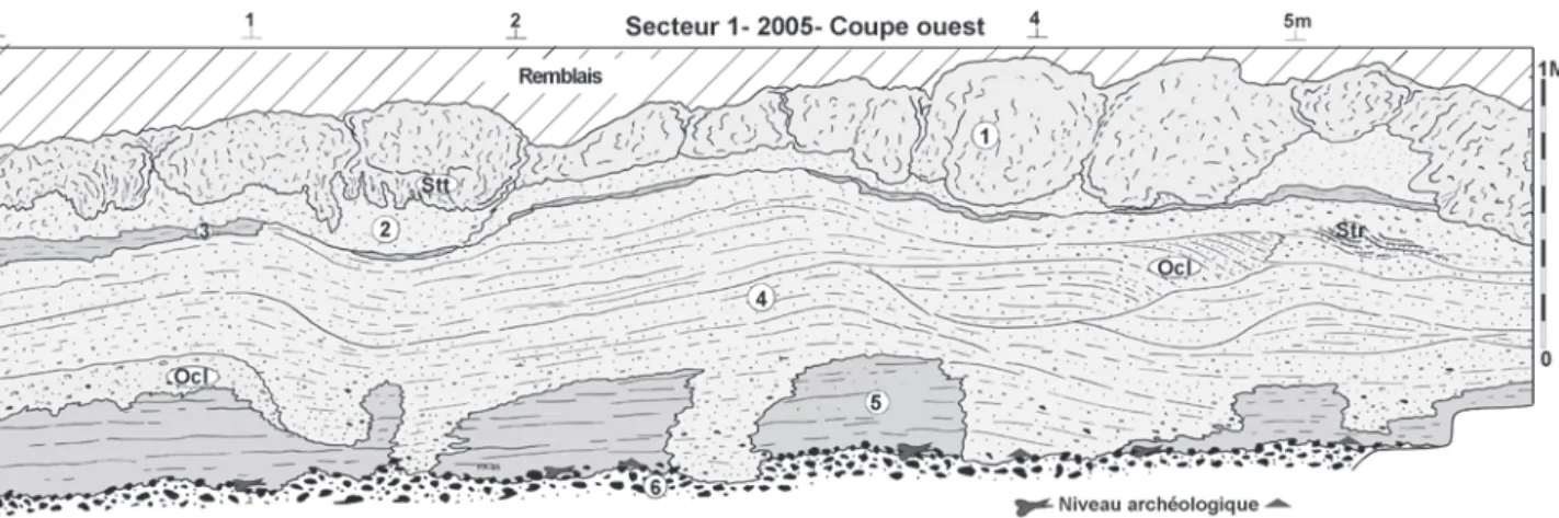 Fig. 8 : Caours 2005 Secteur 1, Coupe Ouest, stratigraphie et localisation du niveau paléolithique (description dans le texte)
