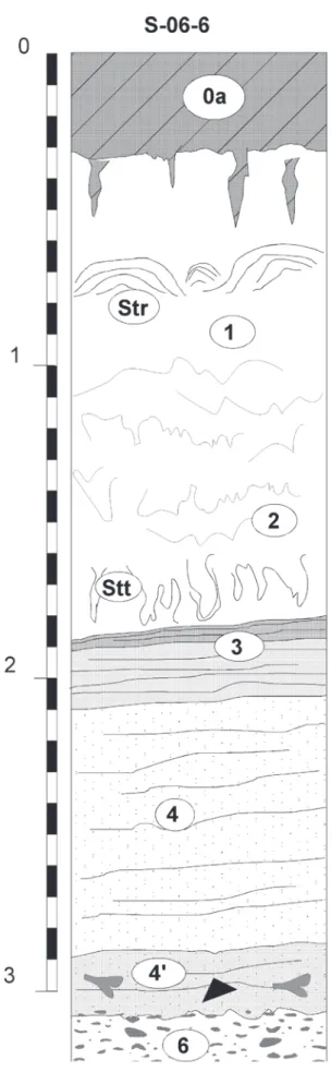 Fig. 9 : Stratigraphy of the excavation 2006-S6 (location : see fig. 2 and description in text).