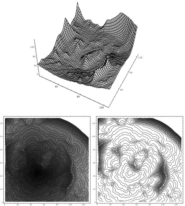 Figure 7: MRI heart image: minimal action U representation as a graph surface and its level
