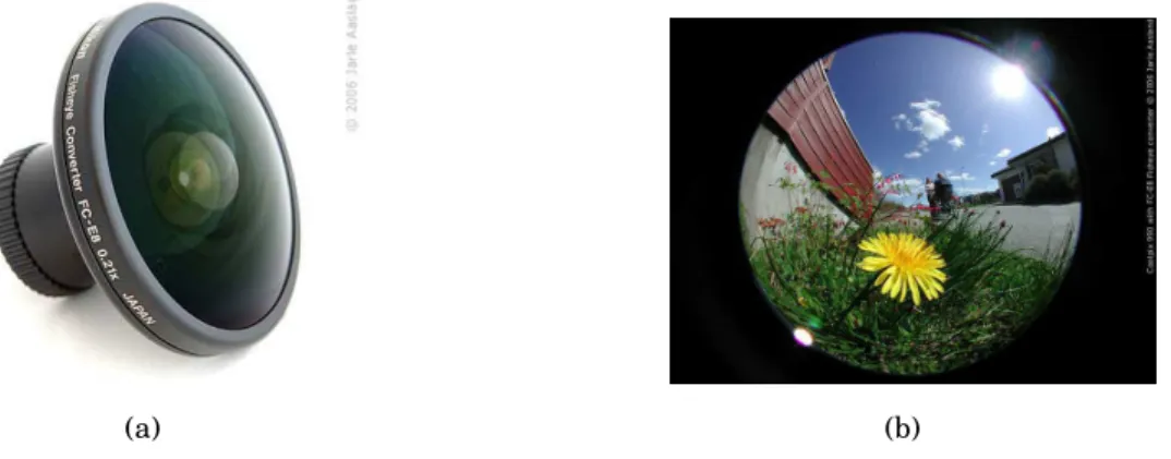 Figure 2.16: Fish-eye lens. 2.16(a) Fish-eye converter Nikon FC-E8. 2.16(b) Image Fish-eye [Source: http://www.nikonweb.com/fisheye/]