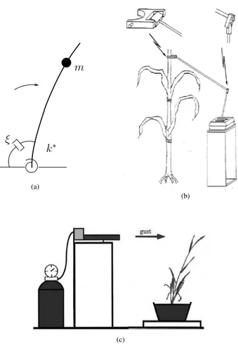 Fig. 1.4 – (a) Mod` ele m´ ecanique ´ el´ ementaire d’une plante. (b) Exemple de dispositif