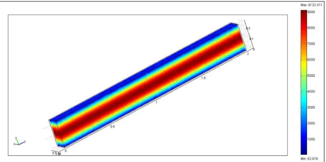 Figure II.4 : Profil en 3D de la norme du champ électrique dans un guide très long  