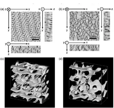 Figure I-16 : Exemple de reconstruction de membranes poreuses en trois dimensions par  microtomographie à transmission d’électrons (She et al., 2008)
