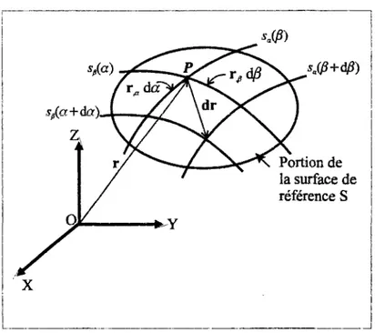 Figure 1-4 : Elément différentiel de la surface de référence d'une coque excentrée 