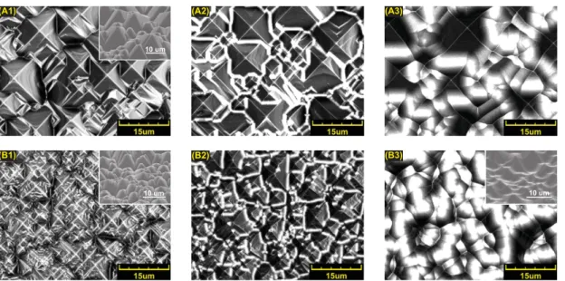 Figure 2.2 – Laser scanning confocal microscopy images of studied samples. (A1) type A without additional surface post-treatment, (A2) type A after short (70 s) surface post-treatment, (A3) type A after long (180 s) surface post-treatment, (B1) type B with