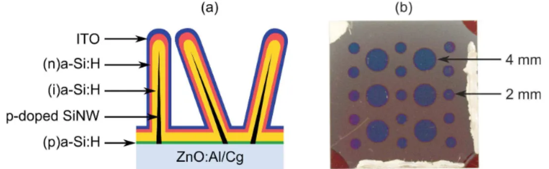 Figure 2.3 – Radial junction solar cells built on silicon nanowire arrays. (a) Schematic drawing (the structure is not drawn to scale) and (b) photo of a sample with solar cells of 2 and 4 mm diameters.