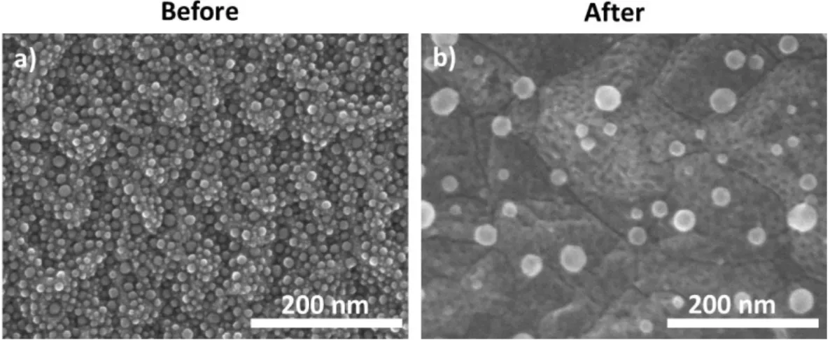Figure 3.10. SEM image of 1 nm Sn on ZnO:Al sample before and after H 2  plasma treatment at 310°C 