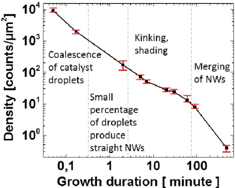 Figure  3.15.  Evolution  of  the  density  of  catalyst  droplets  and  Si  NWs  during  the  8  hours  growth  process
