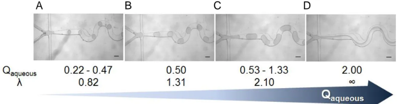 Figure  3.2  -  Images  of  droplet  formation  in  microfluidic  system  as  function  of 
