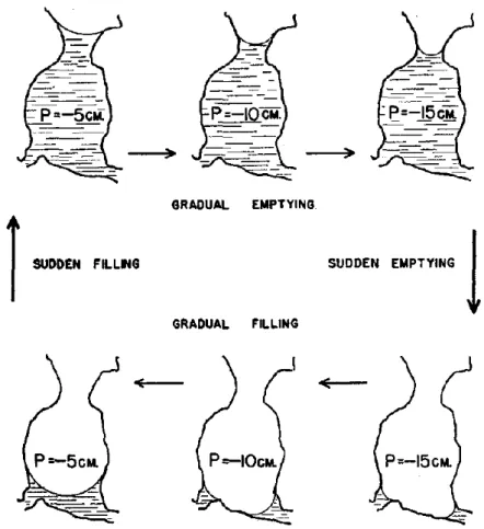 Fig. 1.6: Hysteresis in the movement of water meniscus during drying-wetting cycles (from Miller and Miller (1956))