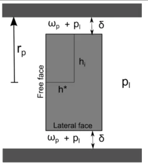 Figure 8.7: Halite crystal at homogeneous pressure p s conﬁned in a pore with a square section